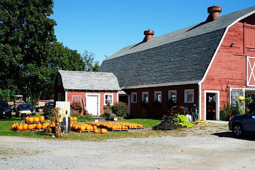 Farmer Dave's Farm Stand and CSA