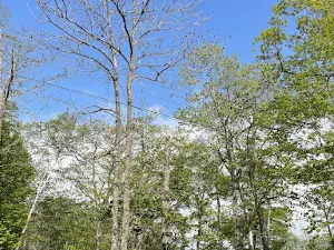 Kamuikotan Park Camping Ground