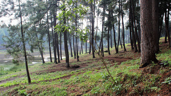 Chivencorral Ecopark