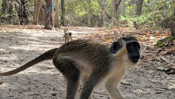 Bijilo National Park