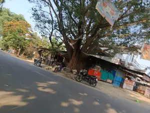 Saspan Puliya