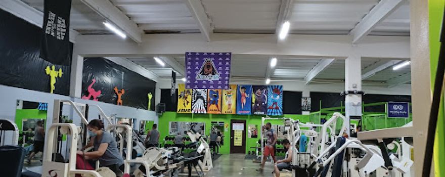 HEALTHY BODY FACTORY