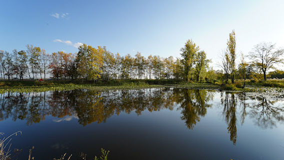 Kitamura Chūo Park, Fureai Hiroba(camping ground)