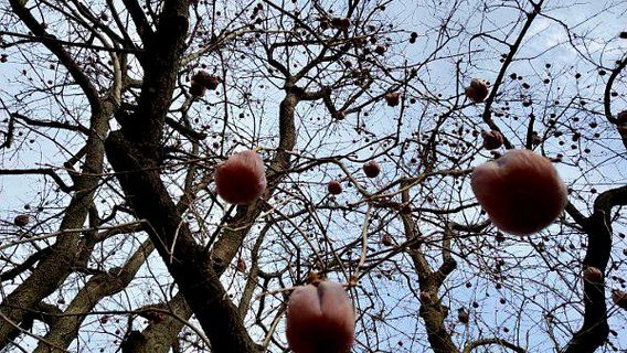 Cixiannanjiao Temple Sceneic Area