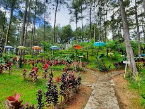 Senggani Canyon Camping Ground