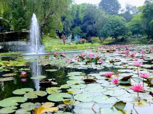 Taman Anggrek Sri Sudewi - Jambi