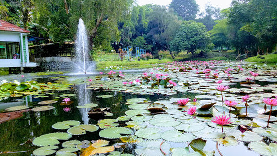 Taman Anggrek Sri Sudewi - Jambi