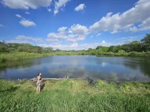 Big Marsh Wildlife Management