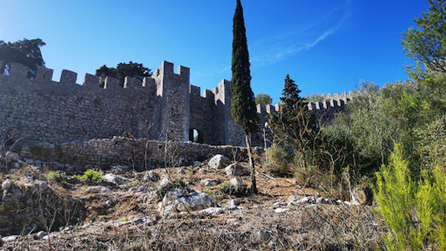 Parque de Merendas João David