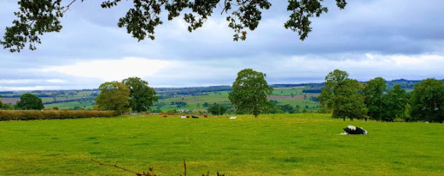 Richmond Hargill House Caravan and Motorhome Club Campsite
