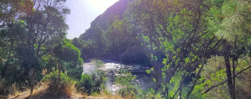 Camping Los Borquez