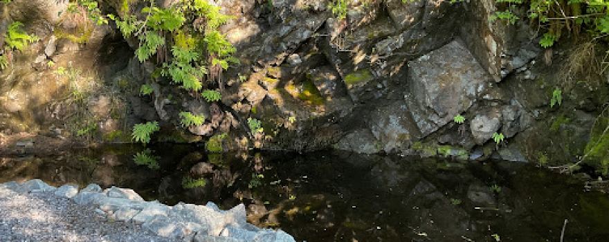 Kinnikinnick Campground & RV Park