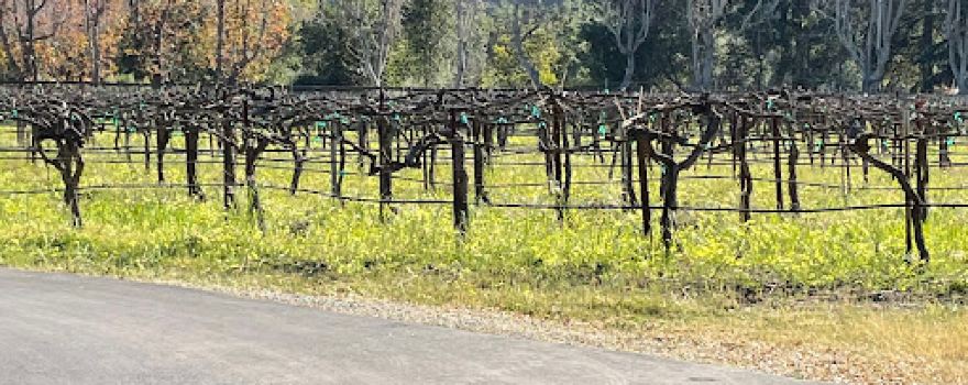 Nicholson Vineyards Winery