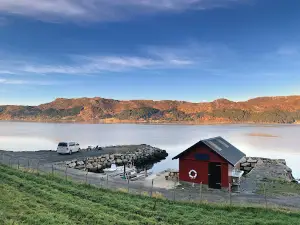 Rovdefjord-Camping (Midtbø)