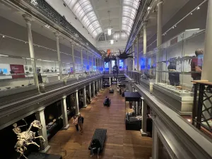 Australian Museum