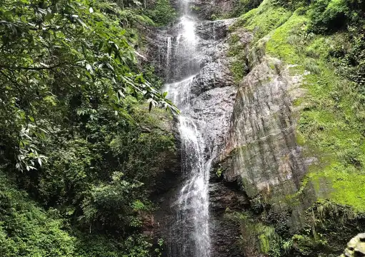 鄰近查德威克瀑布的酒店