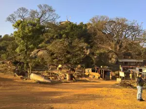Dalma Wildlife Sanctuary