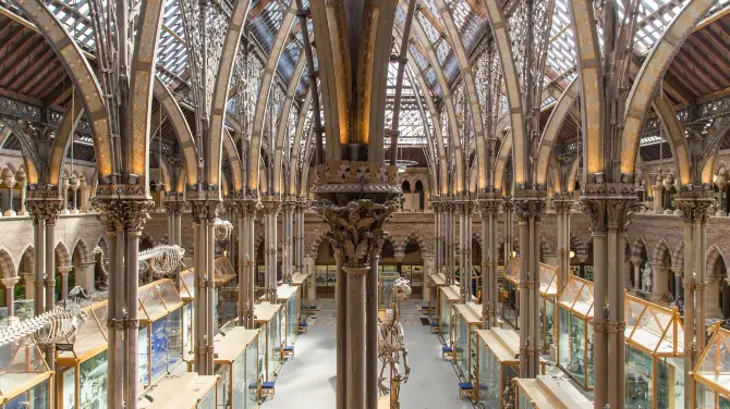 4_Oxford University Museum of Natural History