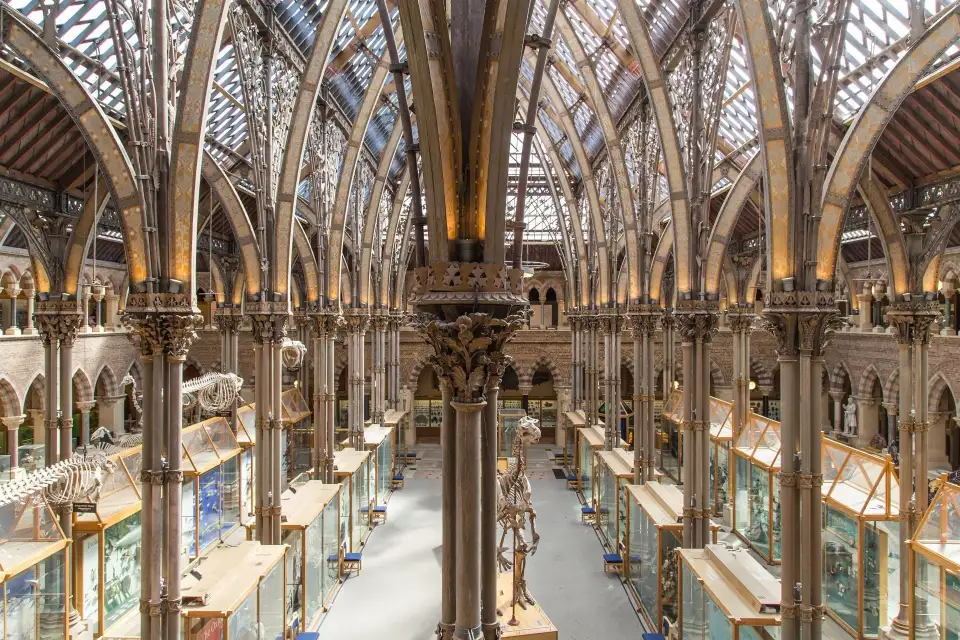 4_Oxford University Museum of Natural History