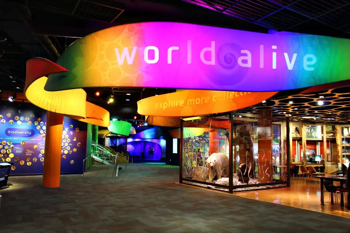 Hotel dekat Discovery Place Science