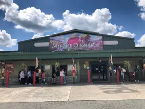 Mercier Orchards