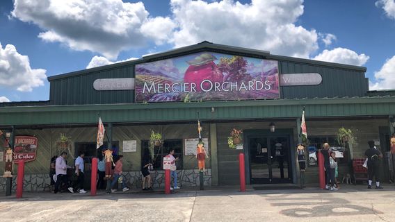 Mercier Orchards