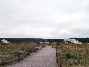Steam Vents