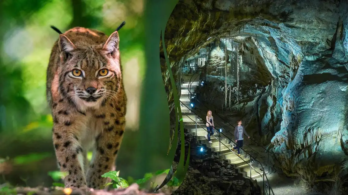 Hotels in der Nähe von Höhle von Han-sur-Lesse