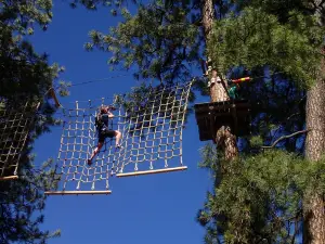 Flagstaff Extreme Adventure Course