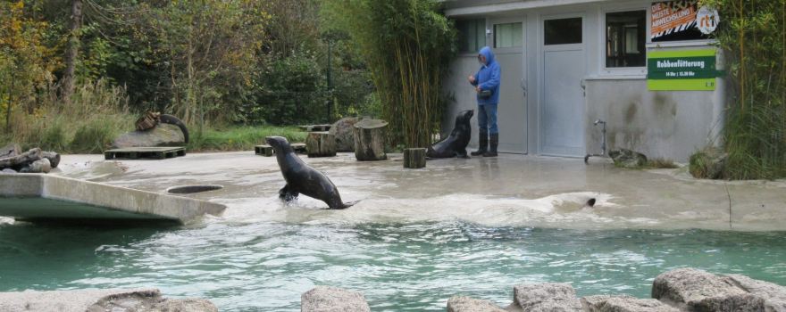 Augsburg Zoo