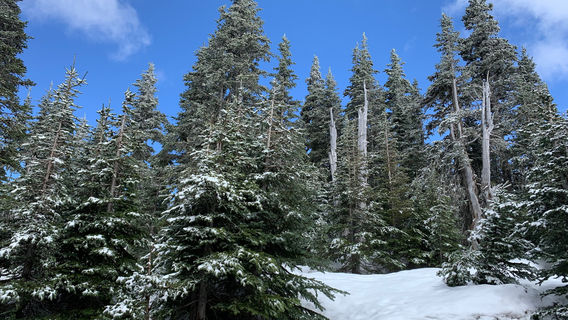 Olympic National Park Visitor Center