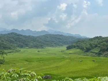 Ninh Binh Province