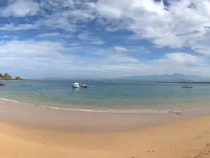 Ixtapa Island (Isla Ixtapa)