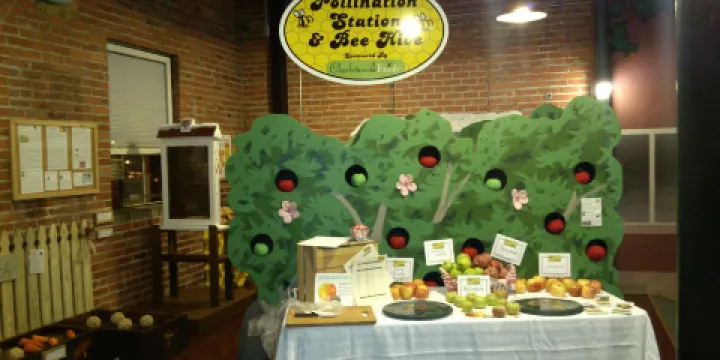 Virginia Discovery Museum