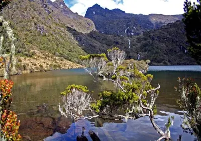Western Highlands Province