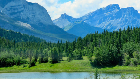 Bow Valley Provincial Park