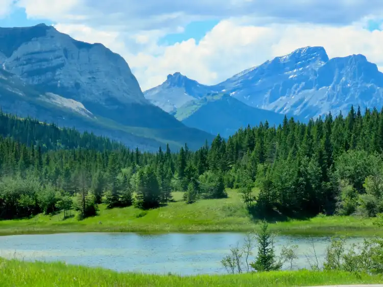 Hotels near Bow Valley Provincial Park