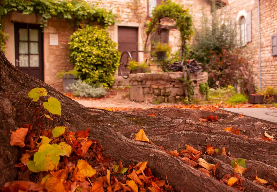 5_Medieval city of Pérouges