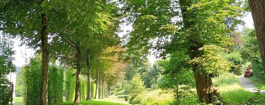 Les Jardins d'Annevoie