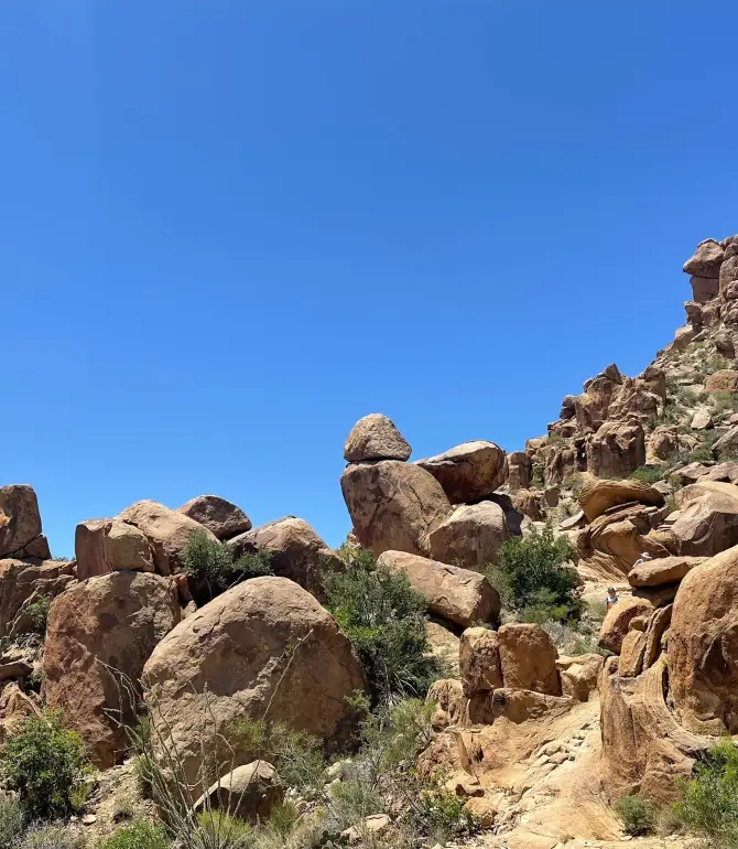 Big Bend National Park