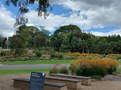 Australian Botanic Garden Mount Annan