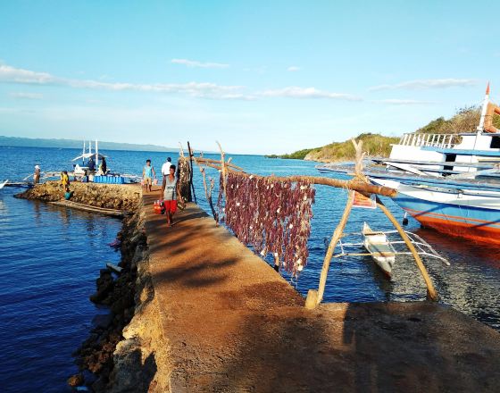 聖荷西 自由行套票