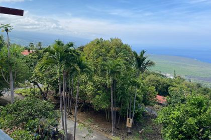 Sacred Grounds Coffee Farm