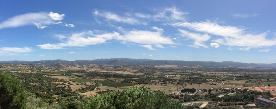 Berchidda