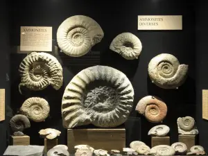 Musee de la Mine