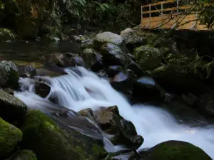 Buller Adventures