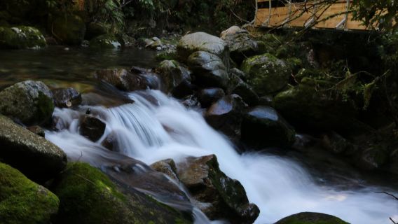 Buller Adventures