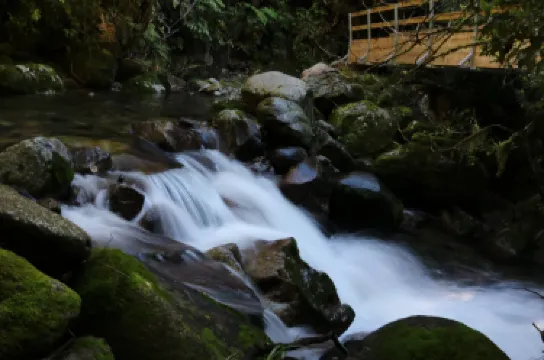 Buller Adventures