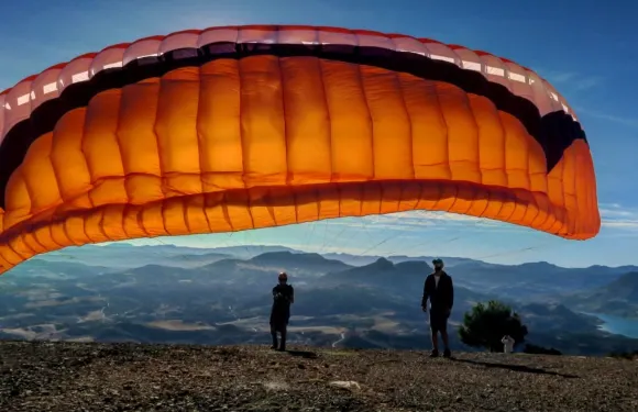 阿爾戈多納萊斯