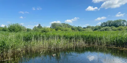 Winnall Moors公園